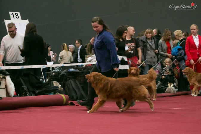 Wystawa Klubowa 2018