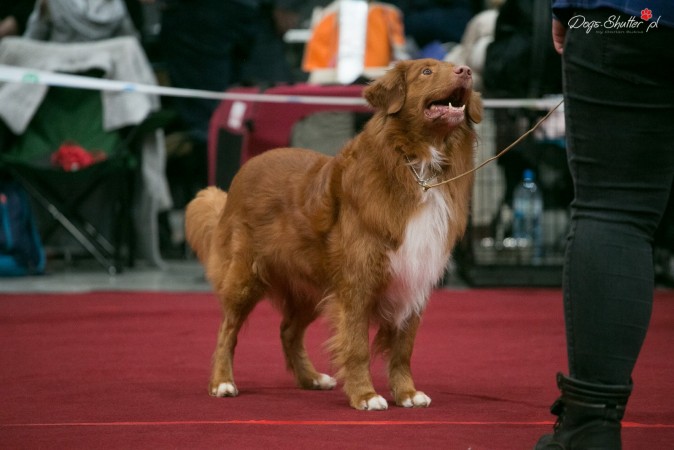 Wystawa Klubowa 2018