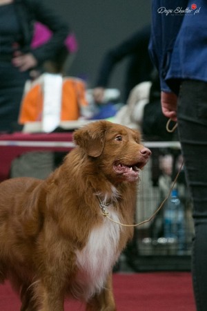 Wystawa Klubowa 2018