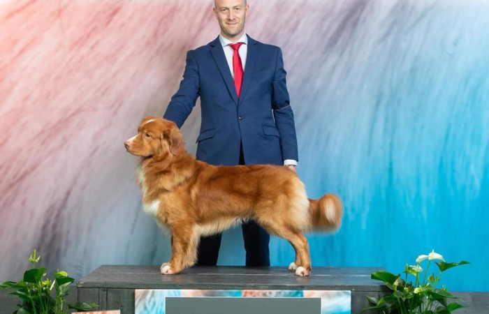 JavaHill's Rider In The Sky