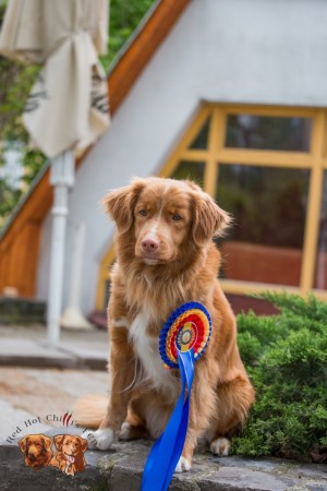 Kwiecień 2017, Rumunia