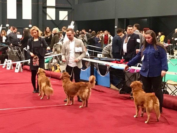 Klubowa wystawa 2018