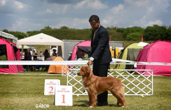 Sherlock Holmes Di Casa Toller - STORM -