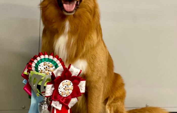 Sherlock Holmes Di Casa Toller - STORM -