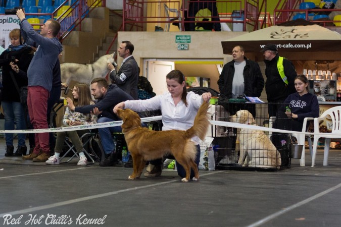 Krajowa Wystawa we Włocławku 2017