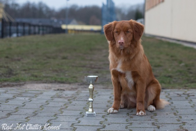 Krajowa Wystawa we Włocławku 2017