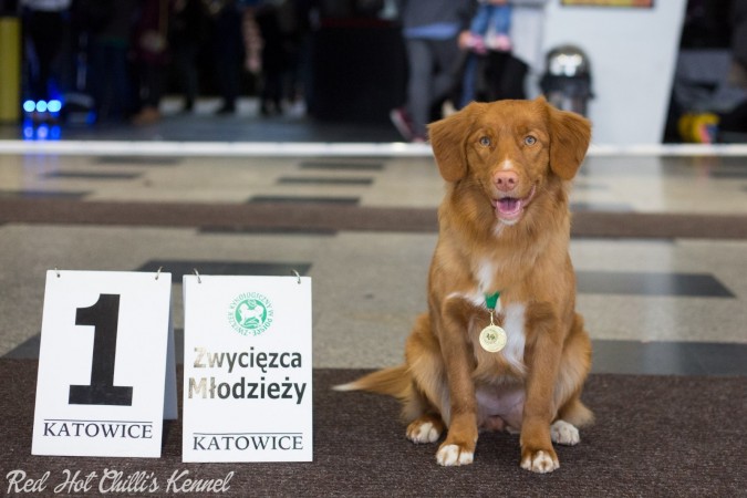 Międzynarodowa Wystawa w Katowicach