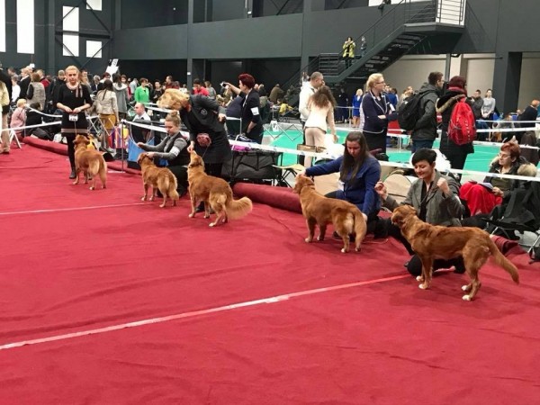 Klubowa wystawa 2018