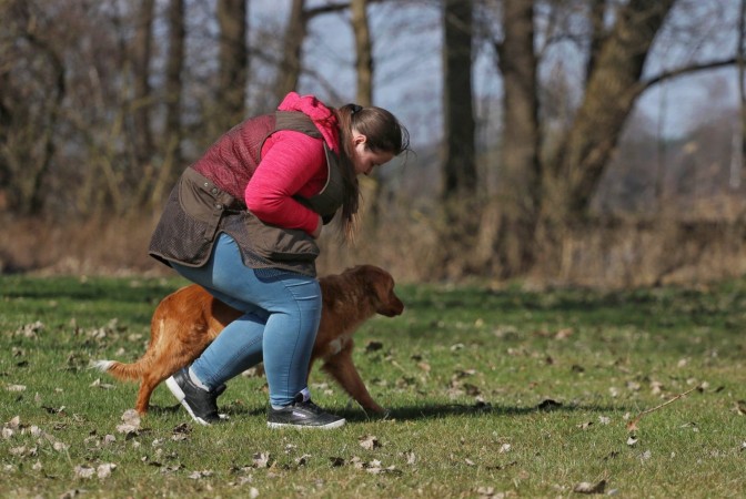 Tolling Seminar 2019