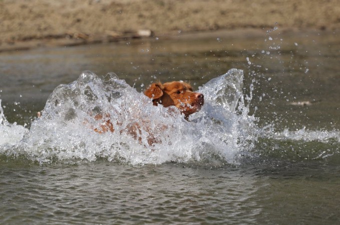 Tolling Seminar 2019