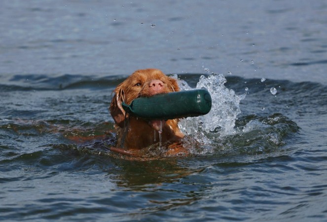 Tolling Seminar 2019