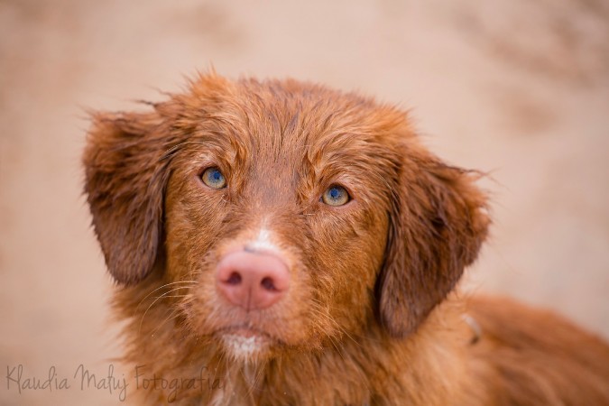 Kwiecień 2017, Łotwa