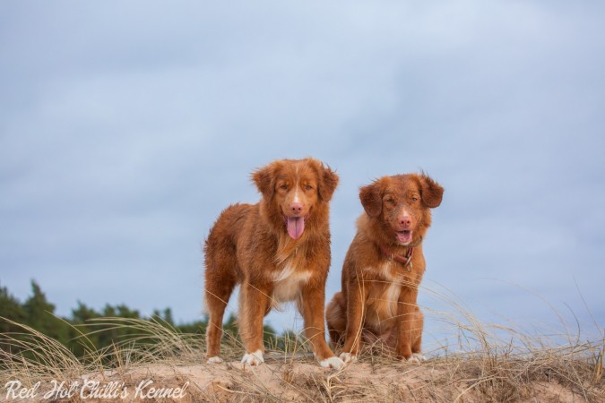 Kwiecień 2017, Łotwa