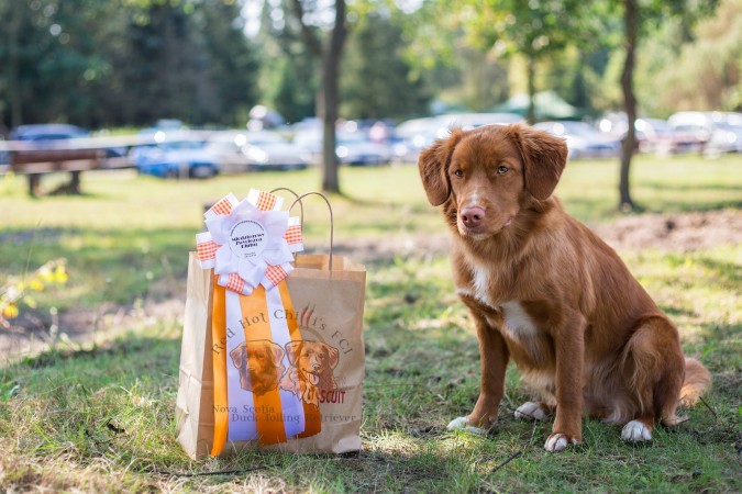 Klubowa wystawa 2017