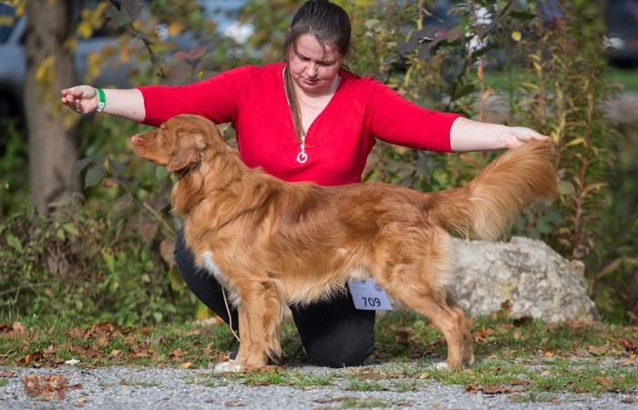 GCh PL, Ch PL, Mł Ch PL Red Hot Chilli's CHILLI CON CARNE